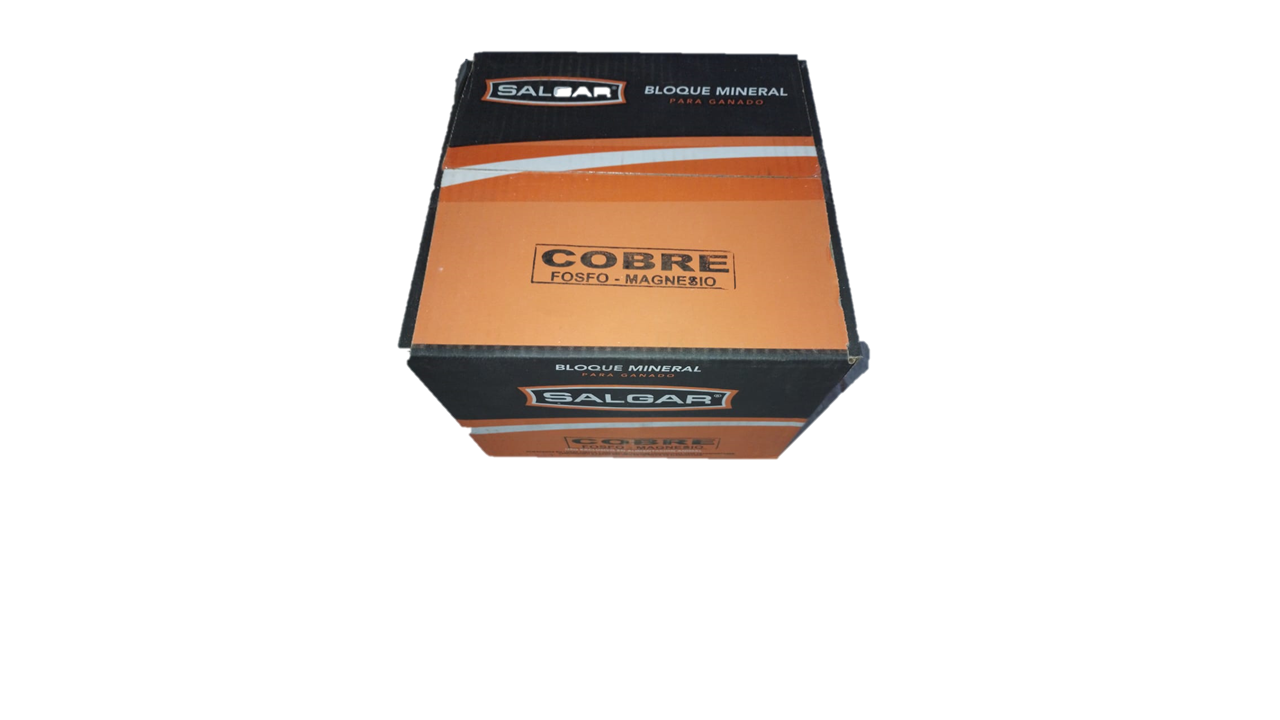BLOQUE DE SAL CON COBRE